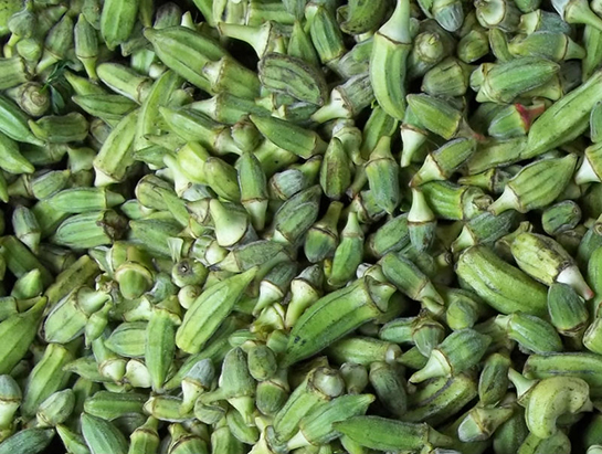 Taze Bamya Tarifi ve Malzemeleri